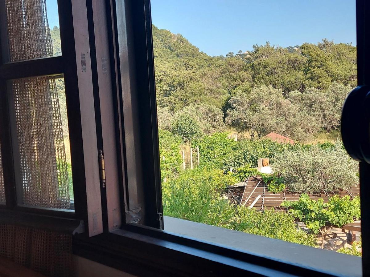 Eden Garden Apartment Ixia (Rhodes)