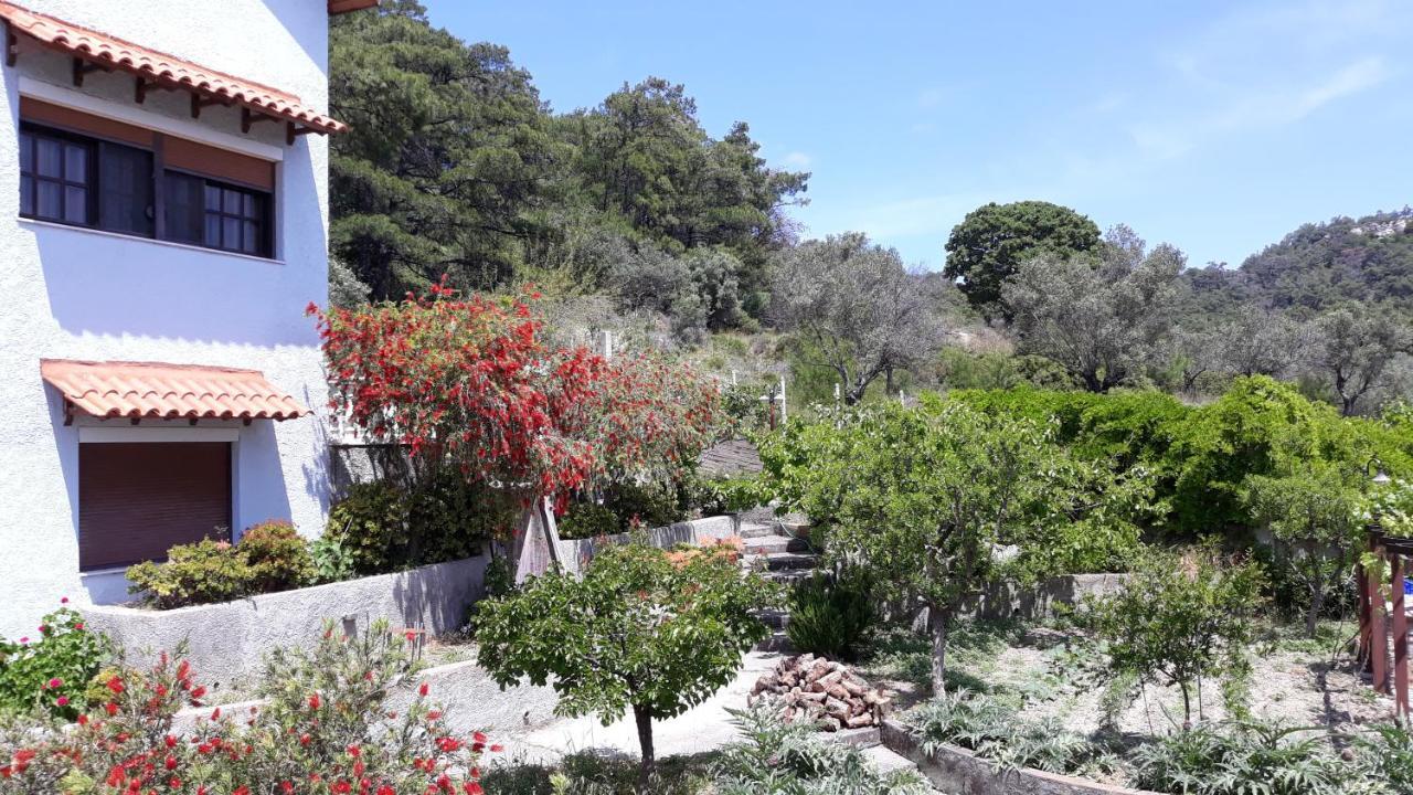 Eden Garden Ixia (Rhodes)